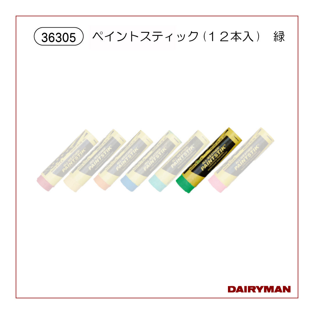 ペイントスティック（１２本入）　緑【36305】
